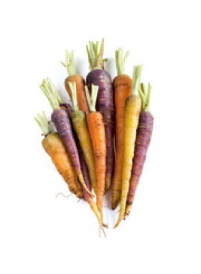 Rainbow Baby Carrots, 200g , South Africa