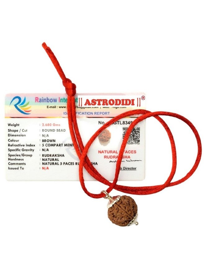 ASTRODIDI قلادة رودراکشا 5 موخى أسترويدي معتمدة من المختبر نيبالية أصلية معتمدة من رودراکشا أصلها نيبال، لون بني | فوائد فلكية | تصميم يونيسكس للرجال والنساء - Image 1