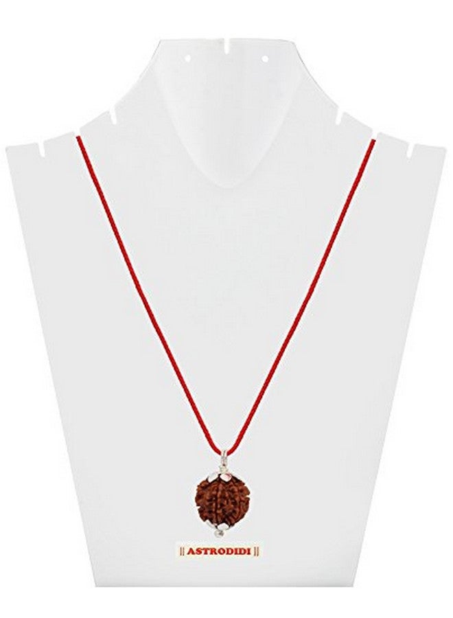 ASTRODIDI قلادة رودراکشا 5 موخى أسترويدي معتمدة من المختبر نيبالية أصلية معتمدة من رودراکشا أصلها نيبال، لون بني | فوائد فلكية | تصميم يونيسكس للرجال والنساء - Image 2