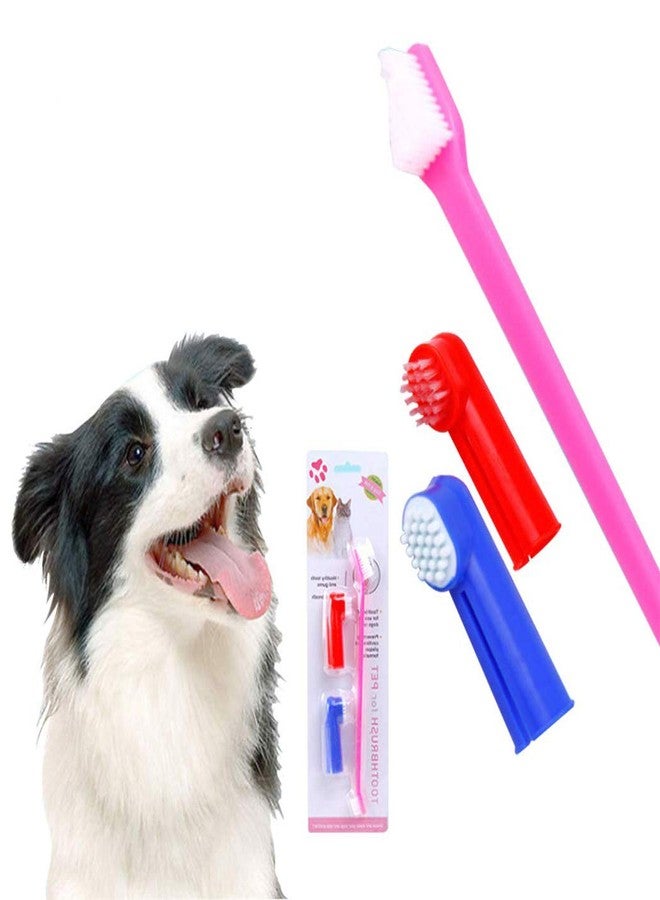 Western Era Pets Cleaning Dental Toothbrush Set of 3 with 1 Double Headed Toothbrush, 2 Finger Toothbrush All Breed Cats, Dogs and Puppies (Color May Vary) - Image 1