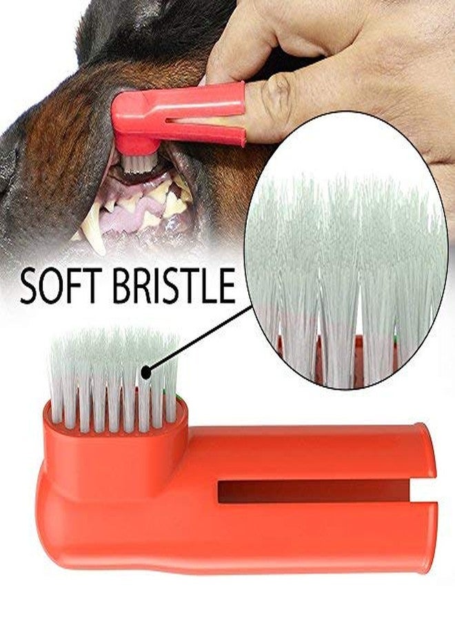 Western Era Pets Cleaning Dental Toothbrush Set of 3 with 1 Double Headed Toothbrush, 2 Finger Toothbrush All Breed Cats, Dogs and Puppies (Color May Vary) - Image 5