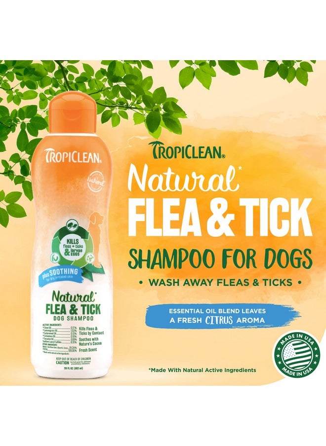 TropiClean - Flea And Tick Soothing Shampoo, 592 Ml - Image 1