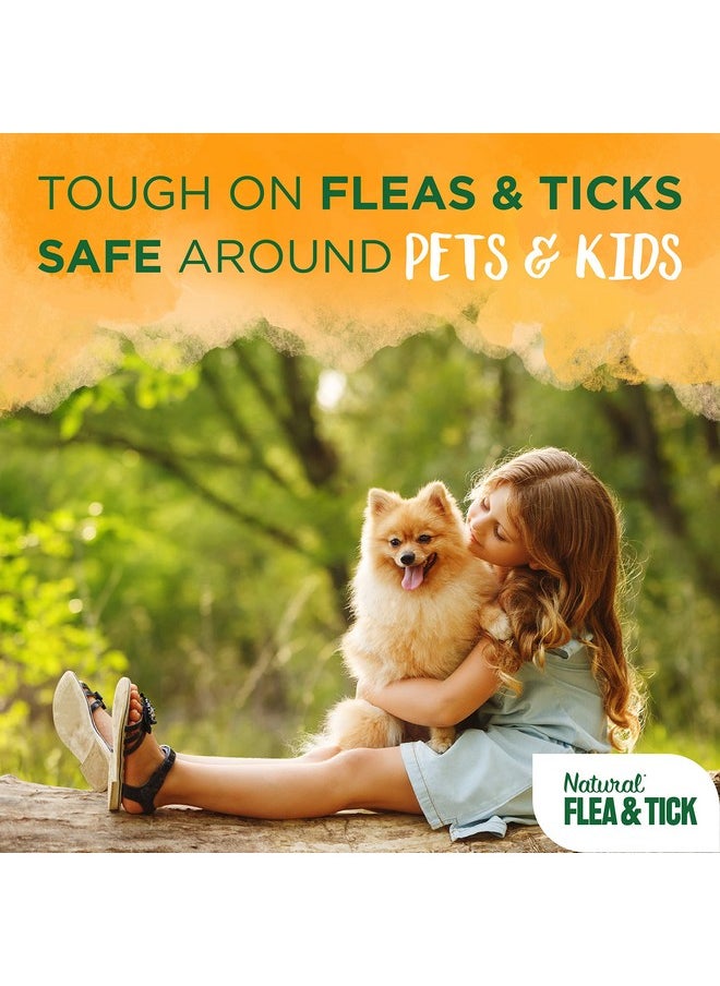 TropiClean - Flea And Tick Soothing Shampoo, 592 Ml - Image 1
