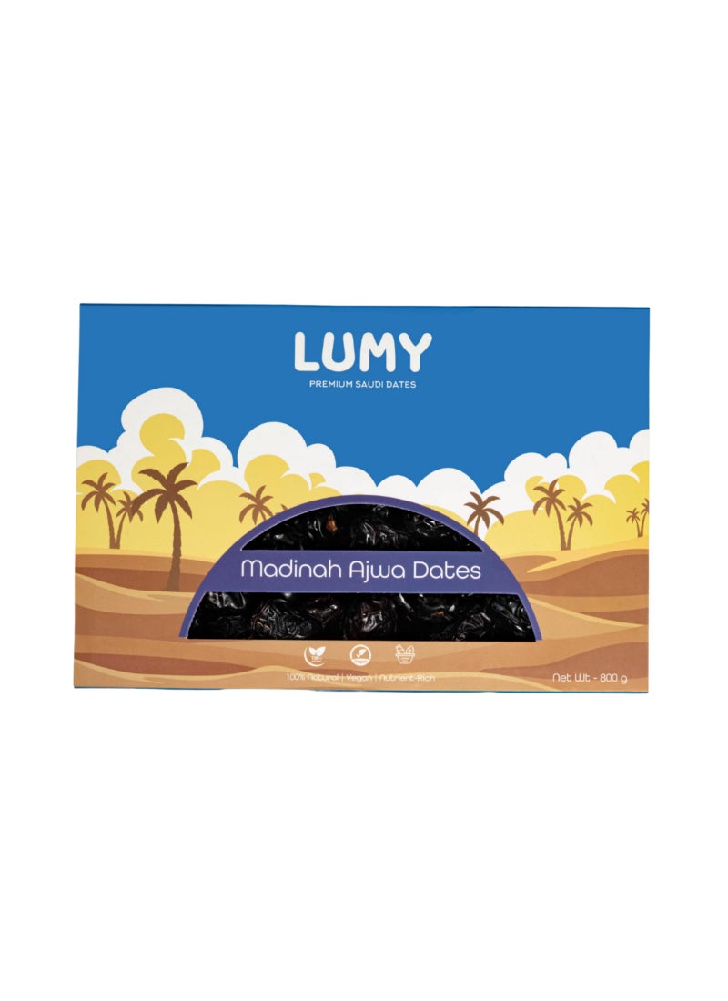 Lumy Dates Madinah Ajwa Dates 800g 800g - Image 2