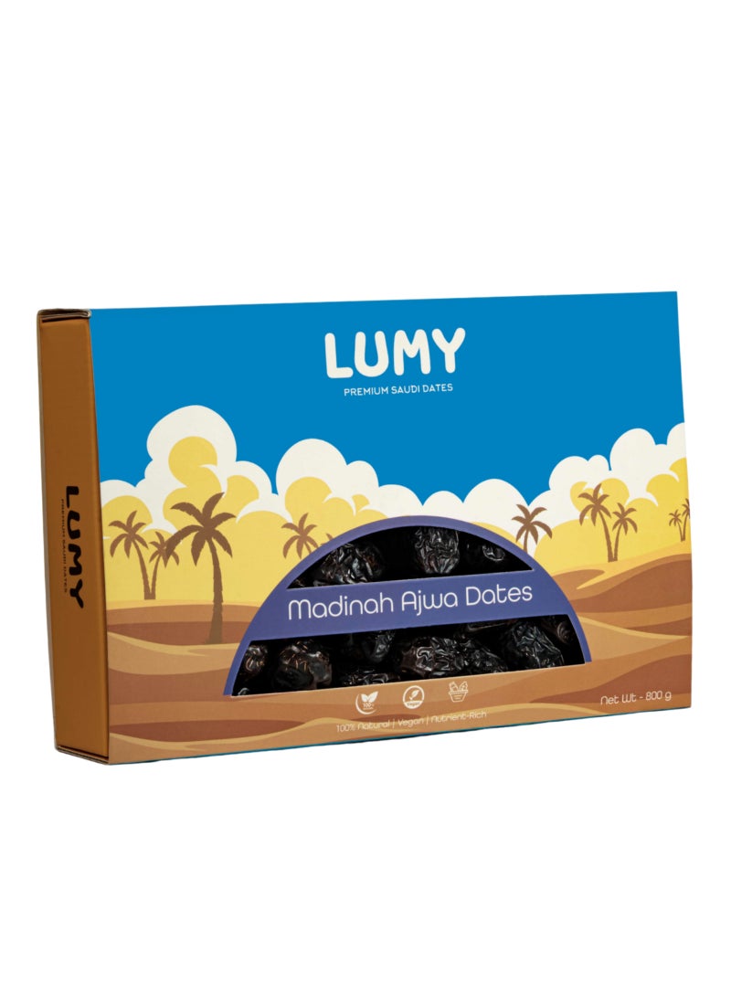 Lumy Dates Madinah Ajwa Dates 800g 800g - Image 3