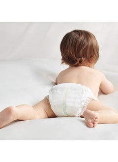 Babycare Babycare - Royal Baby Diaper Pants, Size 7 (17+ Kg), Super Mega Pack of 4 (96 Pieces), BPA-Free, Non-Toxic, Ultra-Absorbent, Leak-Proof, Pull-Up Style, Stretchy Waistband, Hypoallergenic, Soft and Breathable, Gentle on Skin, Comfortable Fit, Easy to Wear, Ideal for Big Toddlers, Day and Night Use, Durable Protection  - Image 5
