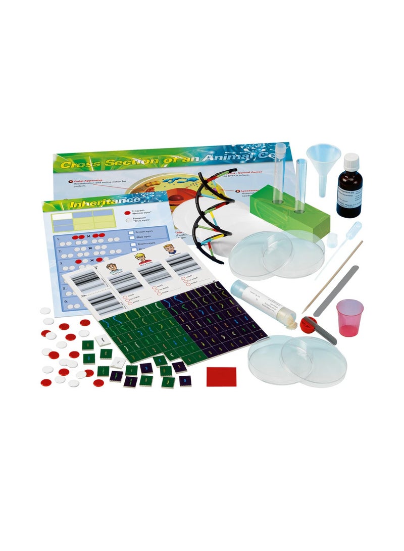 Thames & Kosmos ثيمز وكوسموس: علم الوراثة والحمض النووي: بناء نموذج، استخراج الحمض النووي وحل لغز مسرح الجريمة واستكشاف علم الوراثة، الحمض النووي، والوراثة، التعلم العملي للعلوم - Image 2