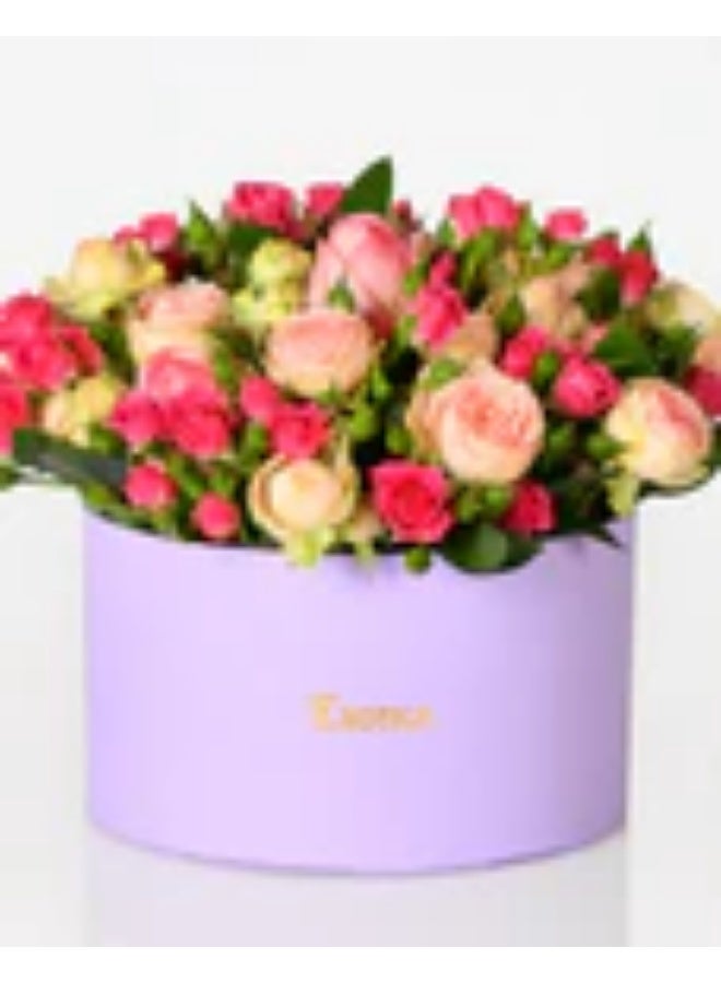 EXOTICA Purple Radiance - Image 2