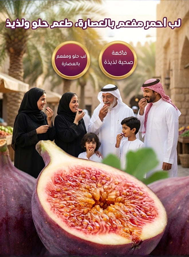 Four Seasons Easy-to-Grow Large Fruit Fig Seeds - Image 5