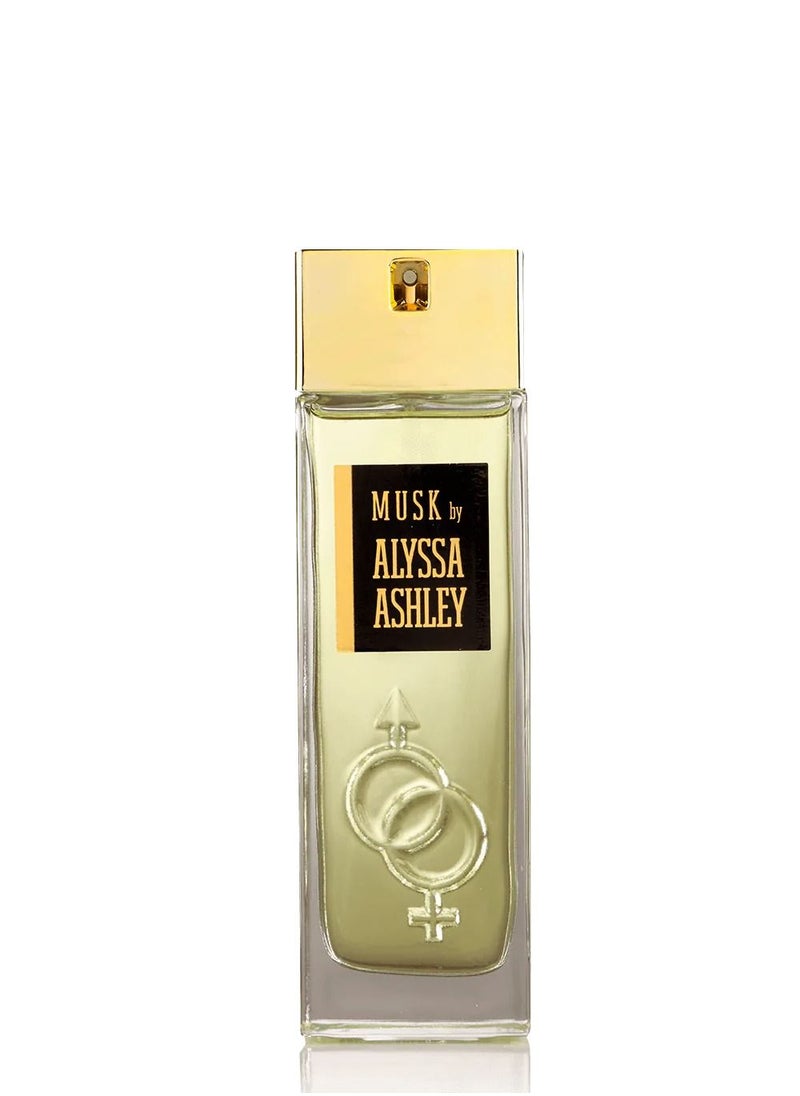 ALYSSA ASHLEY Musk By Alyssa Ashley 100ml  - Image 1