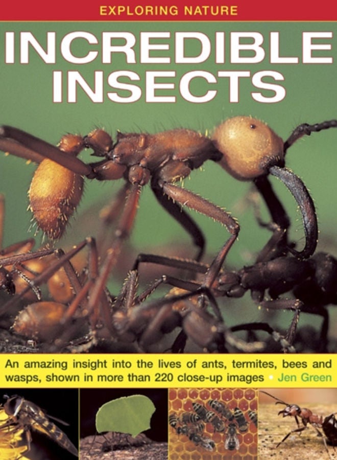Exploring Nature: Incredible Insects : An Amazing Insight into the Lives of Ants, Termites, Bees and Wasps, Shown in More Than 220 Close-up Images 