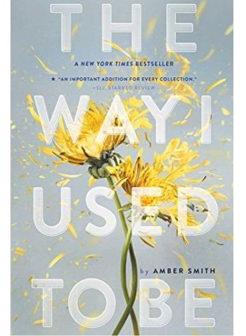 The Way I Used To Be - BY Amber Smith 