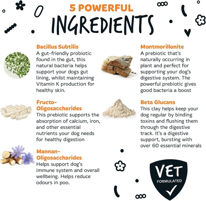 Bugalugs Pre & Probiotic Digestive Supplement for Dogs - 80G - Image 3