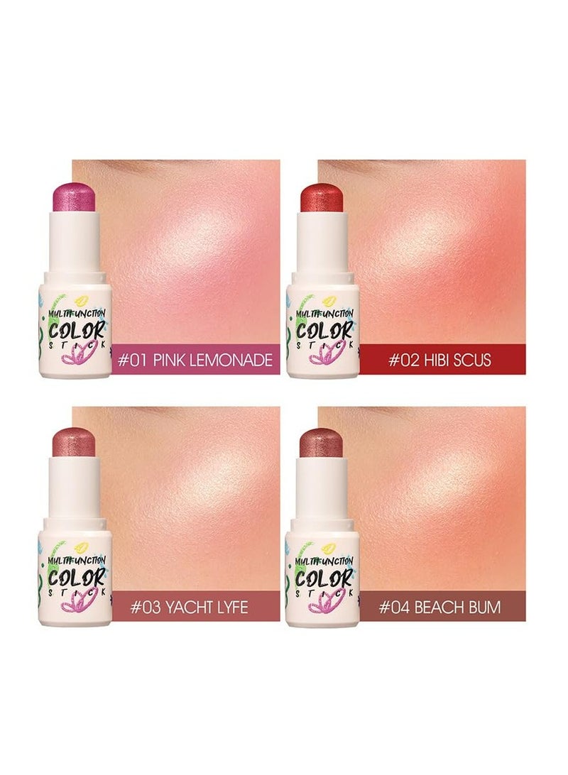LANGMANNI 4-Color Blush Stick: Long-lasting, Natural, and Portable Cheek Makeup Stick (yacht lyfe#03, wdf-001) - Image 4