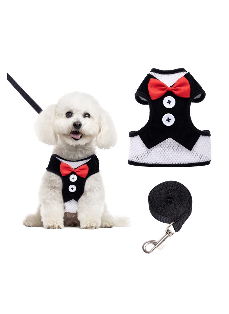 Y&D Small Dog Harness, All Weather Mesh, Cute Bowtie and Adjustable Metal Clip, with 1.2 Meter Rope, Easy Control for Dogs Cats  - Image 1