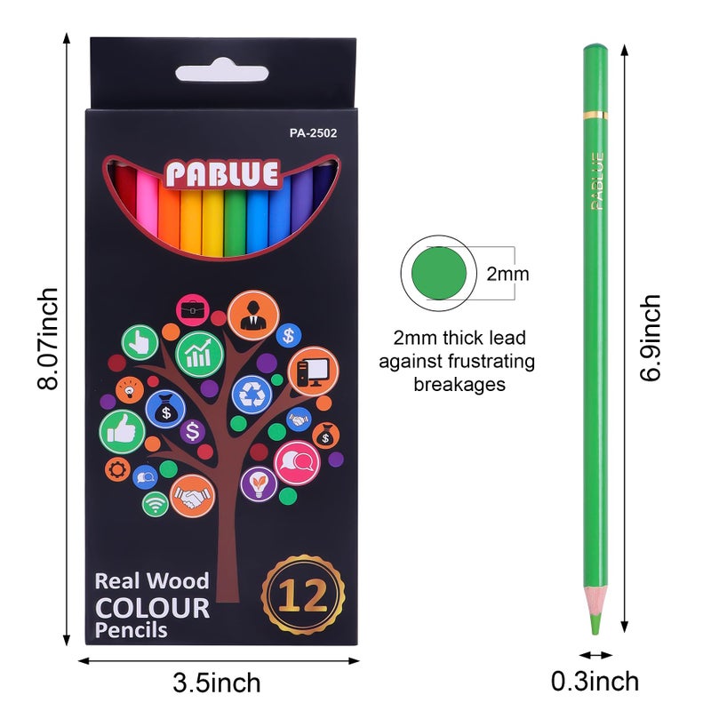 PABLUE Colored Pencils, Premium Soft Core, 12 Professional Colored Pencil for Adults,school and Coloring Book, Artist Drawing Pencils with a Water Color Brush Gift for Blending, Sketching, Shading - Image 2