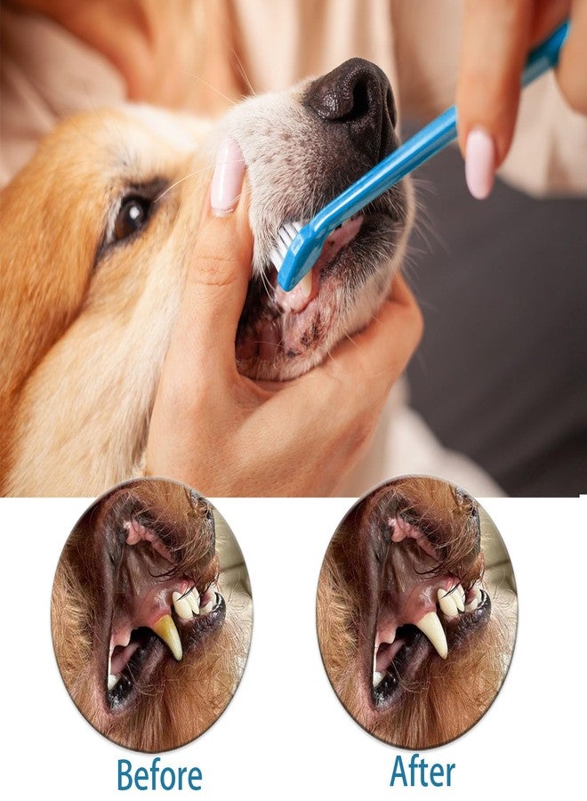 AZOFFYIU Triple Head & Double Head Dog Toothbrush Set, Finger Rubber Toothbrush, Multi-Angle Dental Cleaning Brushes for Cat Oral Health - Image 2