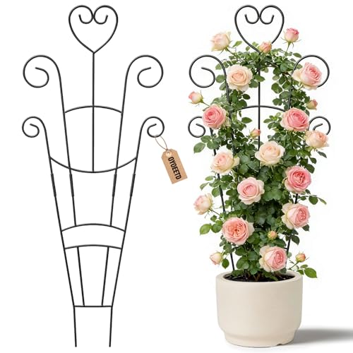 OYOEETD 30 Inch Plant Trellis for Climbing Plants Indoor, Outdoor Metal Garden Trellis for Potted Plants, Houseplant Plant Support for Ivy Pothos Monstera Hoya Flower Vine Black Heart (Black-2pcs) - Image 1