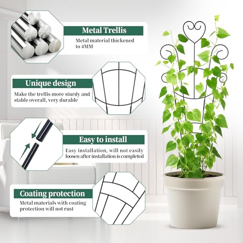 OYOEETD 30 Inch Plant Trellis for Climbing Plants Indoor, Outdoor Metal Garden Trellis for Potted Plants, Houseplant Plant Support for Ivy Pothos Monstera Hoya Flower Vine Black Heart (Black-2pcs) - Image 3