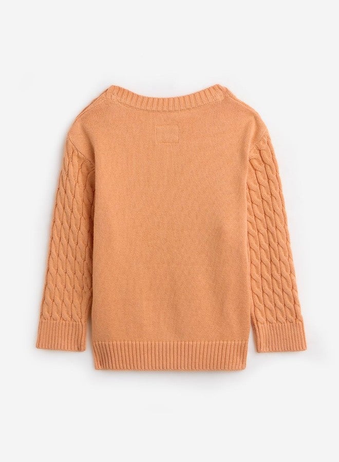 The Souled Store Originals: Bunny Hop Infant Boys Long SleeveKnitted Regular Fit Sweaters Orange - Image 2