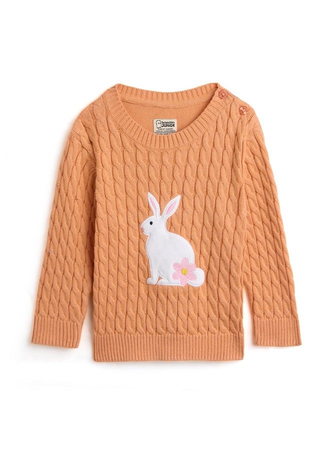 The Souled Store Originals: Bunny Hop Infant Boys Long SleeveKnitted Regular Fit Sweaters Orange - Image 1