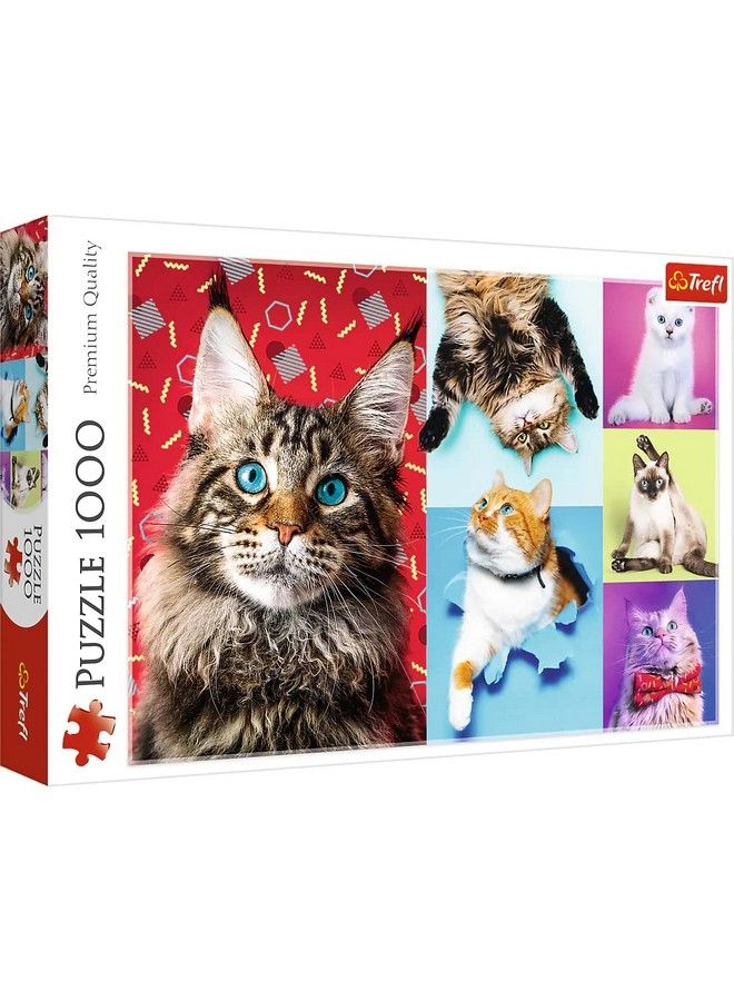 Trefl Red 1000 Piece Puzzle Happy Cats - Image 1
