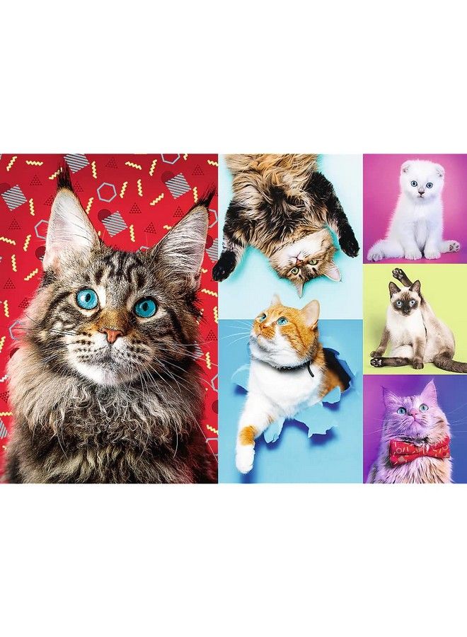 Trefl Red 1000 Piece Puzzle Happy Cats - Image 3