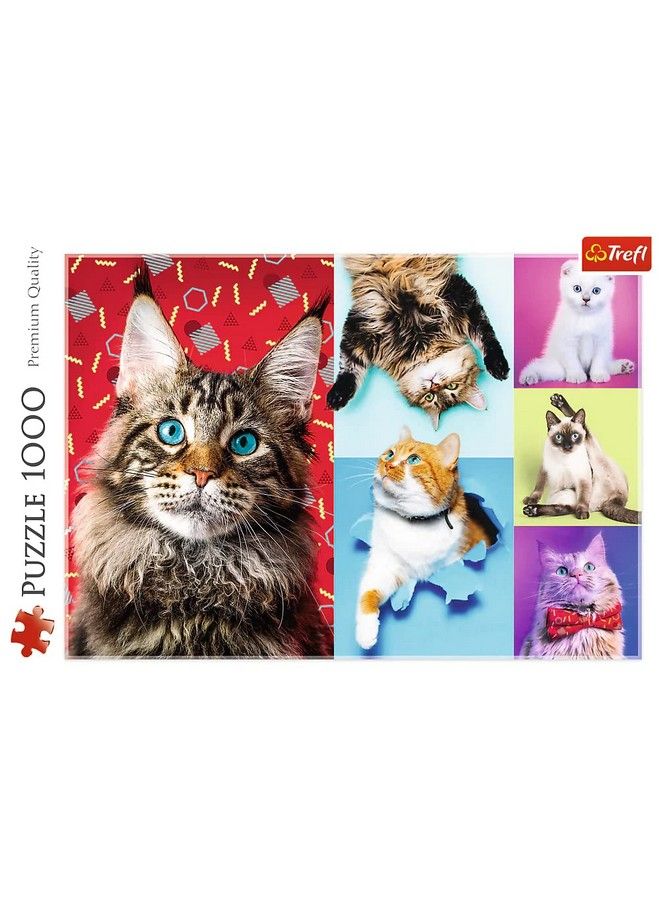 Trefl Red 1000 Piece Puzzle Happy Cats - Image 4