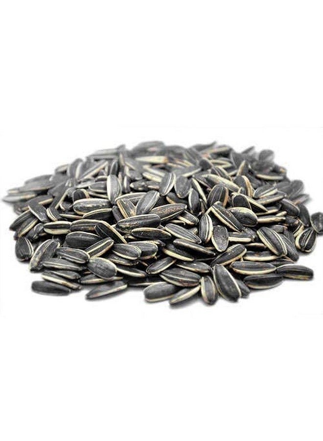 طعام الطيور الصحي من بذور عباد الشمس (900 جرام) - Image 2