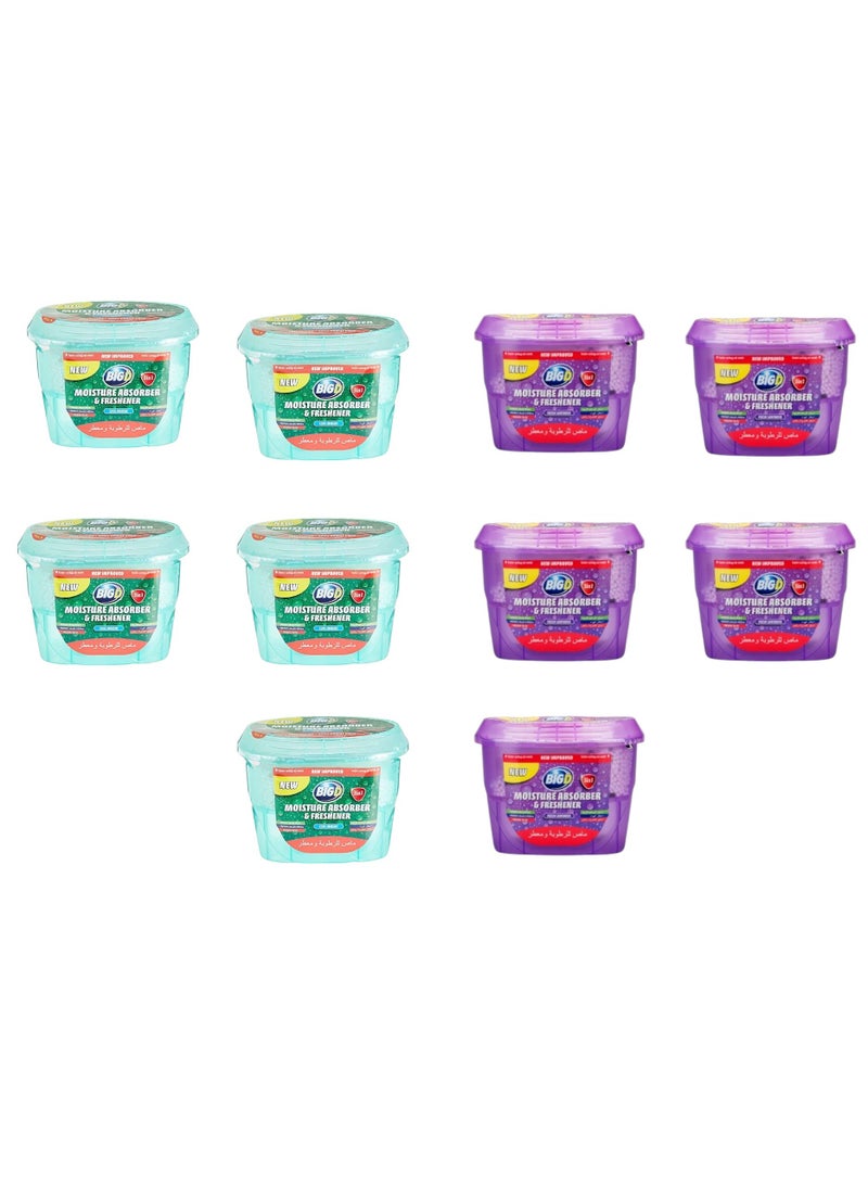 BIG D Big D Moisture Absorber & Freshener – Pack of 10 (5 Cool Marine + 5 Lavender) | Dual Fragrance Odor & Moisture Control  - Image 1