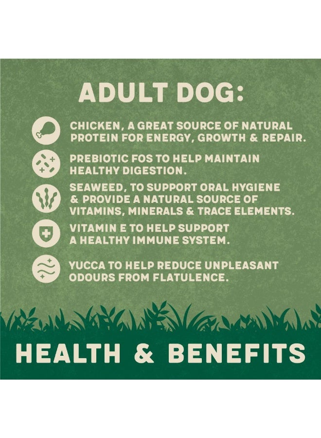 Harringtons Complete Chicken Adult Dry Dog Food 4 KG - Image 3