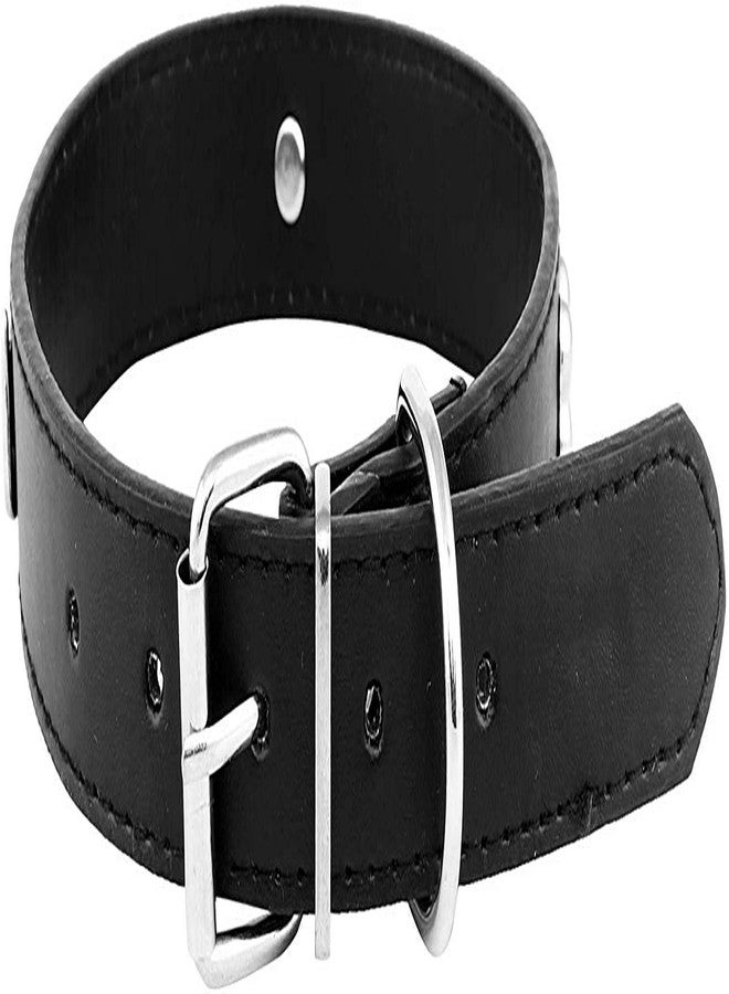Gojira/ Pets Adjustable Dog Collar 0.9 inch with Metal Designer Stud (Black) - Image 2