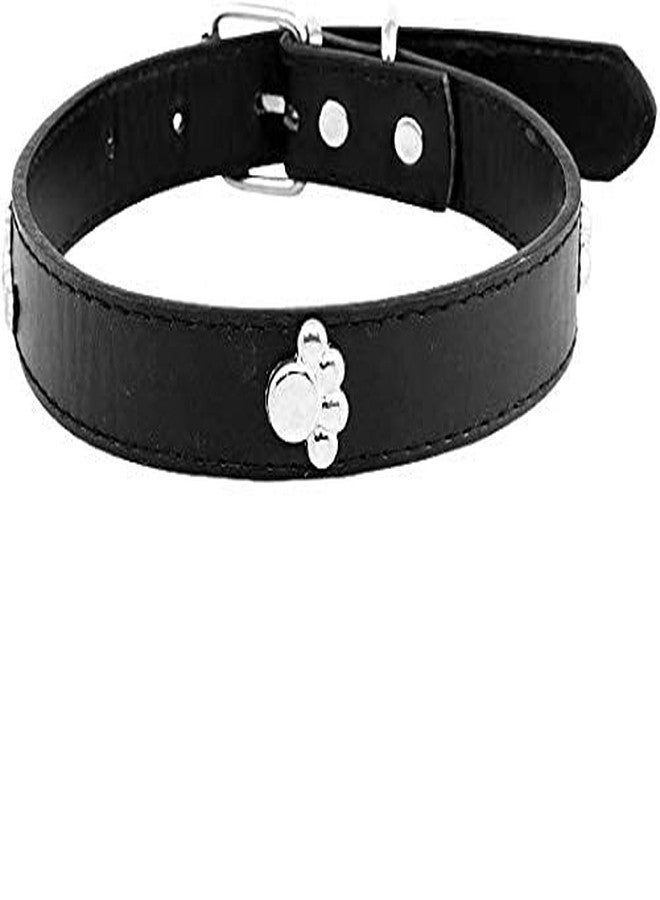 Gojira/ Pets Adjustable Dog Collar 0.9 inch with Metal Designer Stud (Black) - Image 1