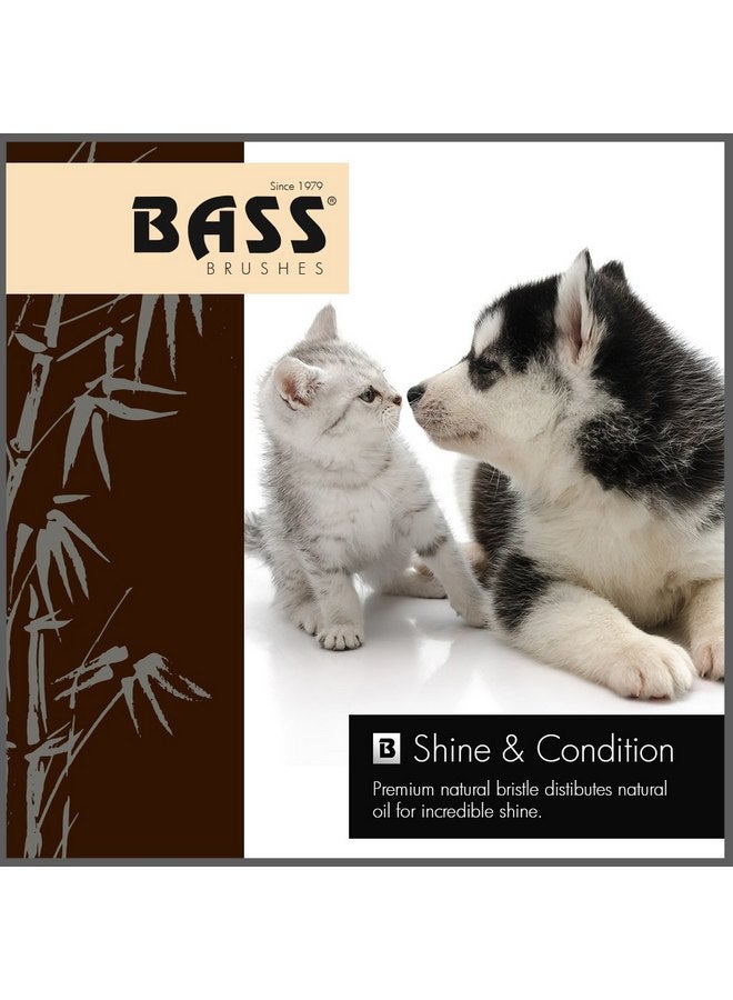 باس فرشاة شعر باس | فرشاة فاخرة للحيوانات الأليفة | لمعان وترطيب | شعيرات طبيعية نقية 100% - متينة | تصميم بيضاوي كامل | مقبض من الخيزران الطبيعي | لمسة نهائية صلبة | الطراز #A15-DB - Image 2