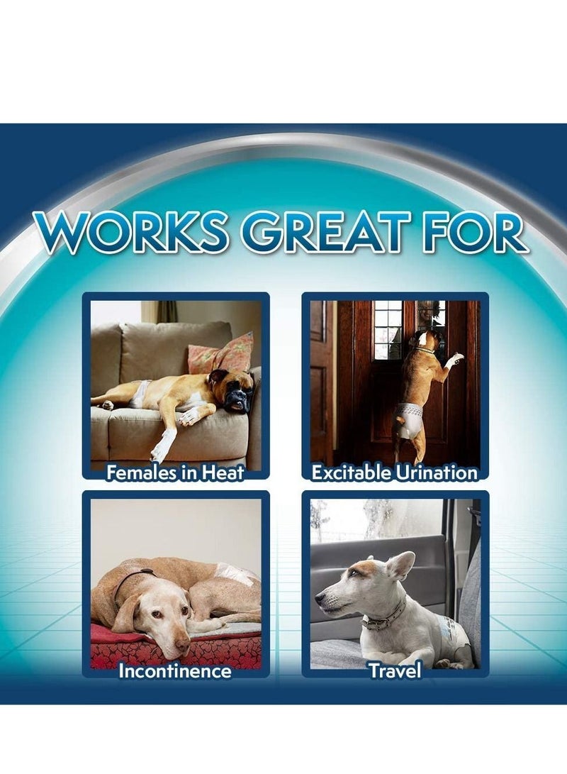 Simple Solution 12 قطعة من حفاضات الكلاب النسائية ذات المقاس الكبير/الكبير المحسّنة للاستخدام مرة واحدة - Image 5