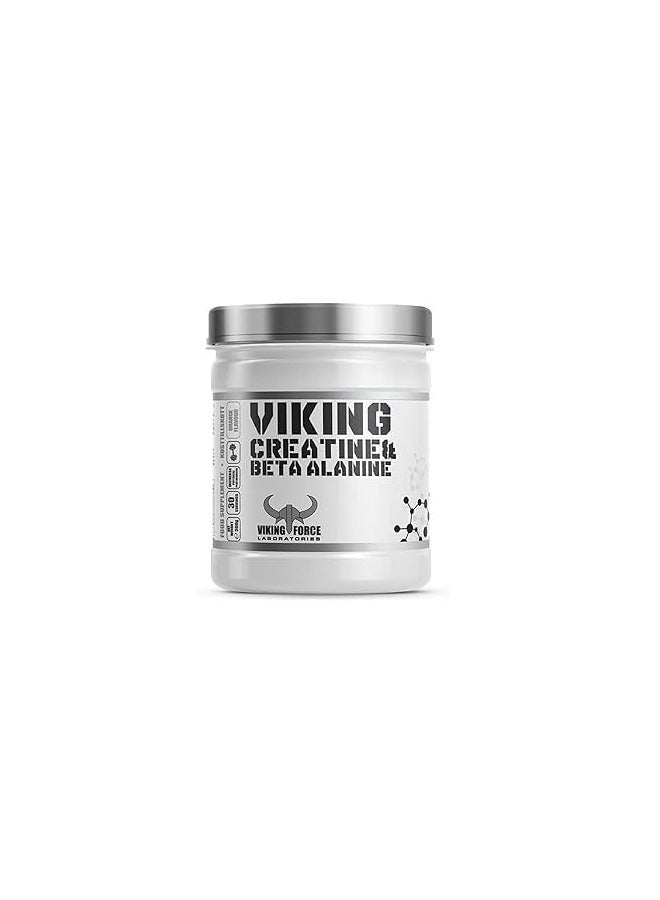 VIKING FORCE LABORATORIES Viking Creatine and Beta Alanine 300g, 30 servings - Mix Berries - Image 1