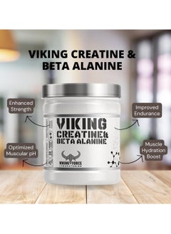 Viking Creatine and Beta Alanine 300g, 30 servings - Mix Berries - pzsku/Z9CF8DFF1522F0902CDD8Z/45/_/1726245036/307373e3-f8ae-4322-a455-940300c505ab