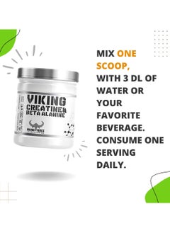 Viking Creatine and Beta Alanine 300g, 30 servings - Mix Berries - pzsku/Z9CF8DFF1522F0902CDD8Z/45/_/1726245056/308be78f-79a6-42d0-9354-30883726db96