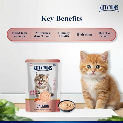 Kitty Yums Kitten Wet Mousse 80g | Salmon | Rich in Protein | Promotes Hydration & Easy to Digest | Grain Free | No Artificial Flavours | Packed with Essential Vitamins & Antioxidants - Image 2