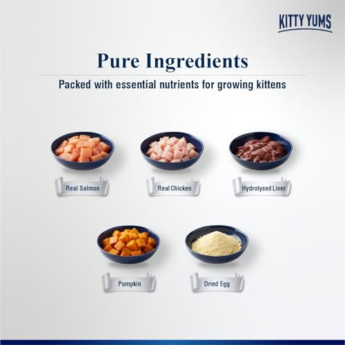 Kitty Yums Kitten Wet Mousse 80g | Salmon | Rich in Protein | Promotes Hydration & Easy to Digest | Grain Free | No Artificial Flavours | Packed with Essential Vitamins & Antioxidants - Image 3