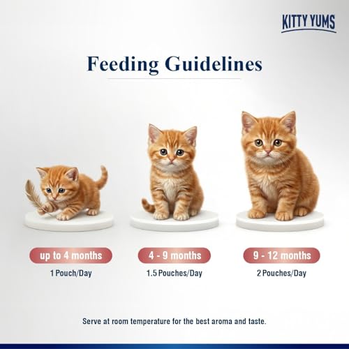 Kitty Yums Kitten Wet Mousse 80g | Salmon | Rich in Protein | Promotes Hydration & Easy to Digest | Grain Free | No Artificial Flavours | Packed with Essential Vitamins & Antioxidants - Image 5