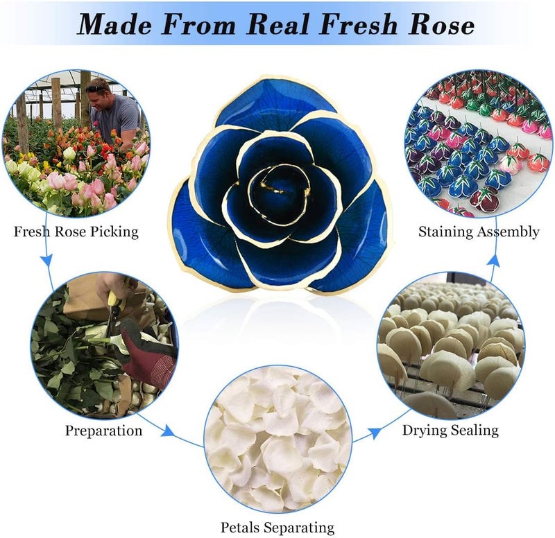 كلاراكو وردة كلاركو مطلية بالذهب عيار ٢٤ قيراطًا، للأم، وردة حقيقية مغموسة للحبيبة أو الزوجة أو الابنة أو العشاق، هدية في ذكرى الزواج أو عيد الميلاد أو اقتراح الزواج (وردة زرقاء مع حامل) - Image 3