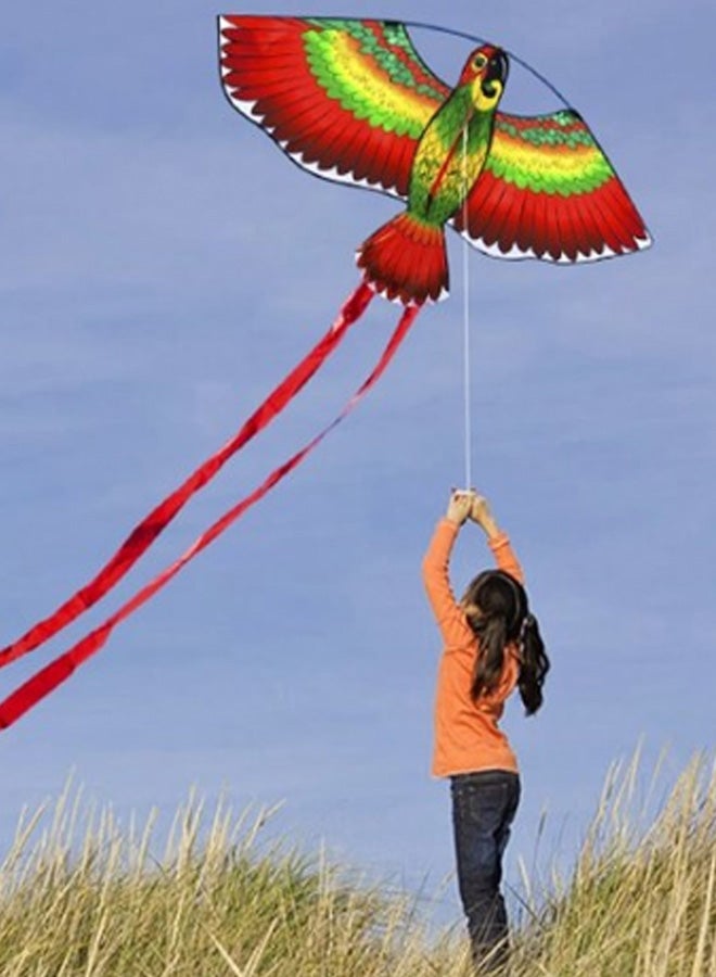 Loquat Cartoon Parrot Kite With String And Handle 110x 50x 26centimeter - Image 3