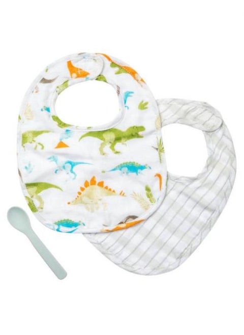 Bib Set - Dinosaur Design
