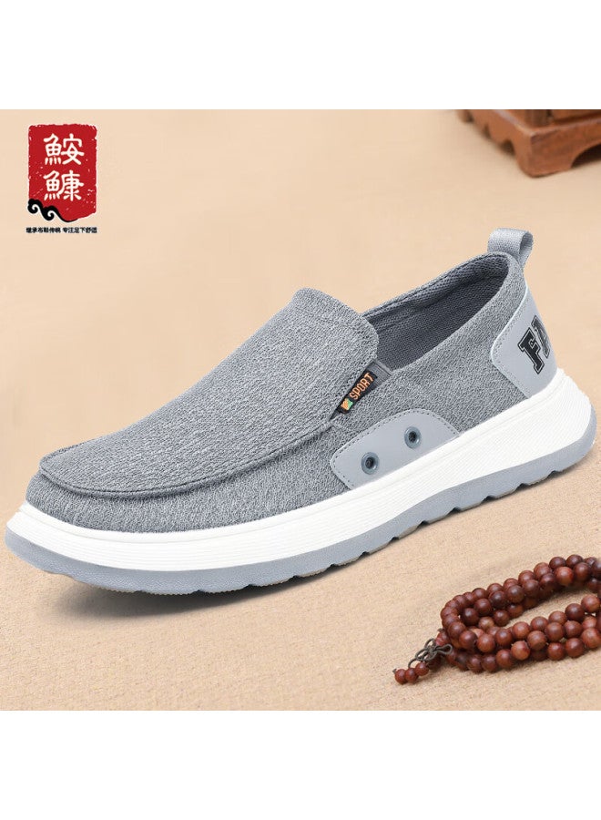 Anglerfish Ankang Old Beijing Cloth Shoes Canvas Summer Breathable Thin Ice Silk Men's Slip-on Loafers A1005 Gray 41 - Image 1
