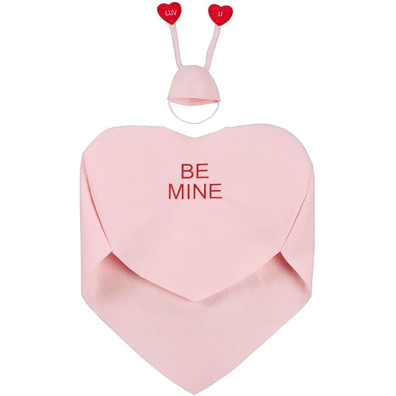 Miles Kimball Conversation Heart Goose Outfit - Image 5