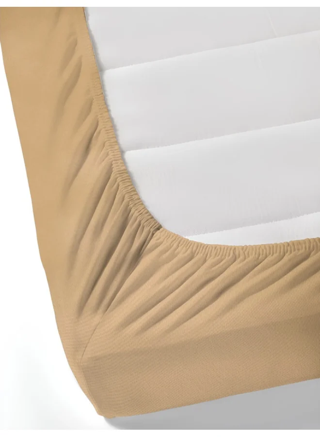 MULBERRY LIVING 100% Cotton - 500Tc Opulent Hue Queen Size (160X200 Cms) Fitted Bedsheet With 2 Pillow Covers (50X75 Cm) - Fawn