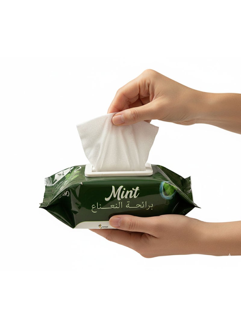 Alcohol-Free Multi-Purpose Wet Wipes – Mint Scent, 12 Pack – Fresh Cleaning Wipes for Hands & Surfaces - Image 2
