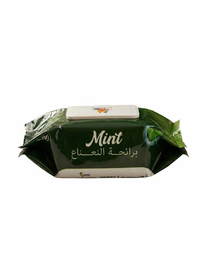 Alcohol-Free Multi-Purpose Wet Wipes – Mint Scent, 12 Pack – Fresh Cleaning Wipes for Hands & Surfaces - Image 1
