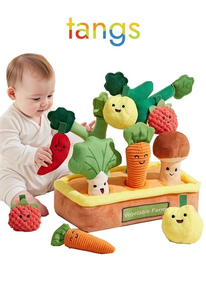 tangs Multi Sensory Shape, Baby Toys 6-12 Months, Fruits Vegetables Garden Plant Plush, Montessori Educational Learning Fine Motor Skills Toys, Baby Toys Boys Girls Gifts - Image 1